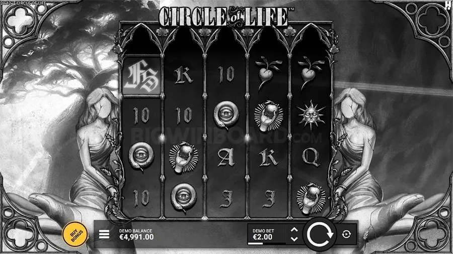 Beginner's Guide to Live Baccarat